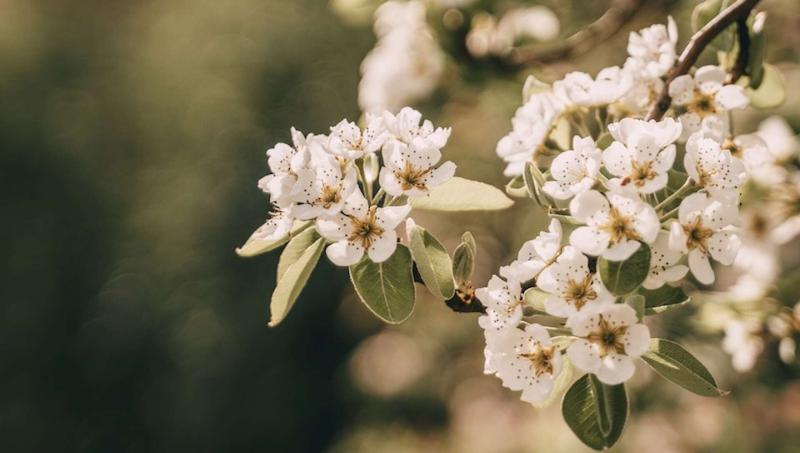Aria di primavera 7 = 6 Aria di primavera 7 = 6