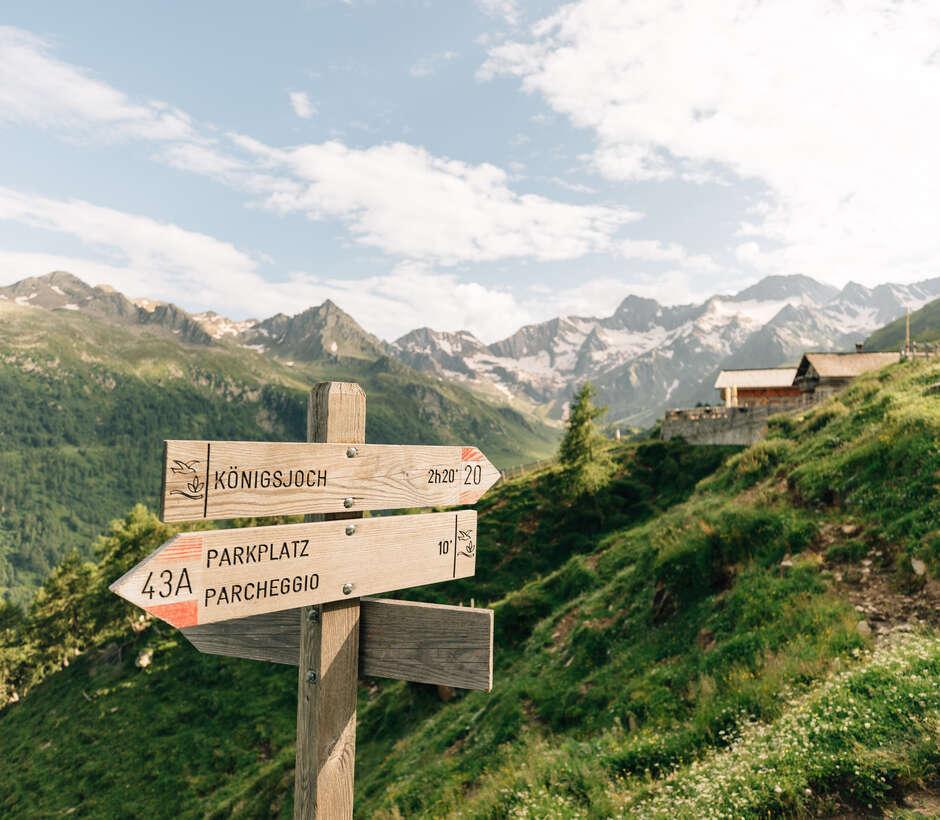 Your adventure realm Your adventure realm